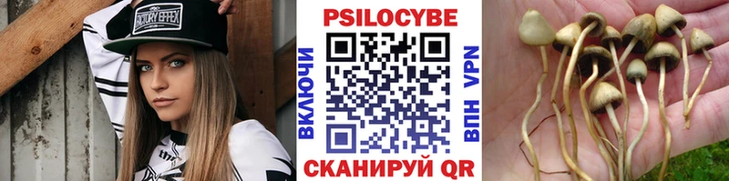 Псилоцибиновые грибы мухоморы Закаменск